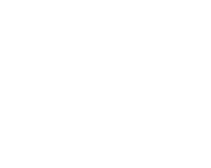 karastan-test